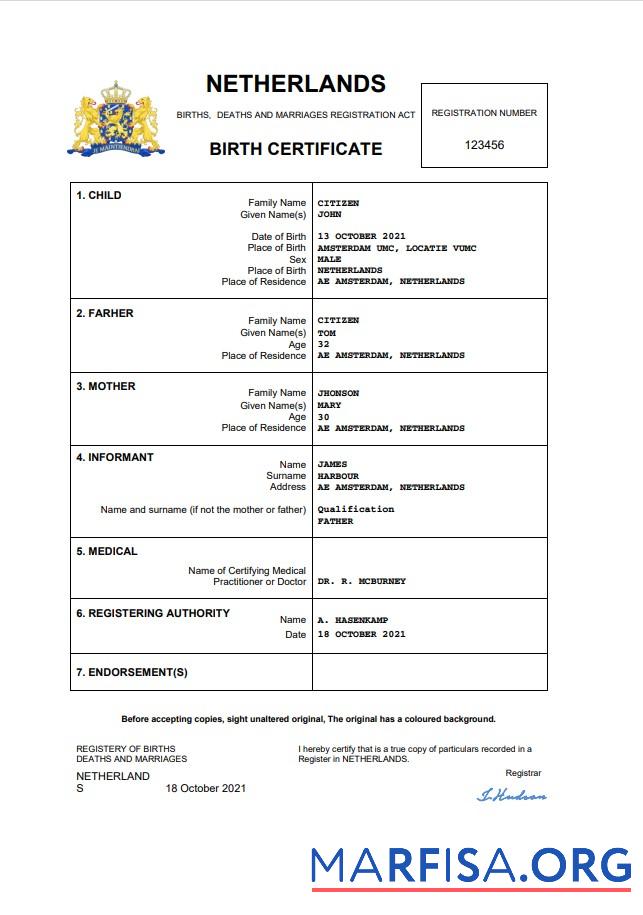 Printable Netherlands vital record birth certificate Word and PDF template